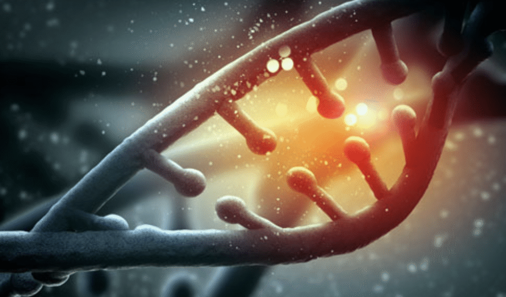 Silexion Therapeutics: The Next Potential Blockbuster in Cancer’s Last Untamed Frontier?