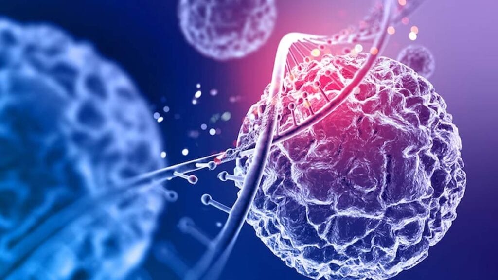 Nuvectis Pharma’s NXP900 Clears Key Hurdle Boosting Potential as Key Combination Therapy in Multi Billion Dollar NSCLC Market