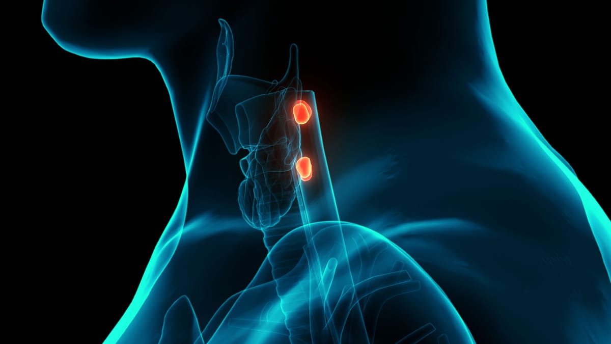 Entera Bio Accelerates Its Hypoparathyroidism Program as a Catalyst-Heavy Year Takes Shape