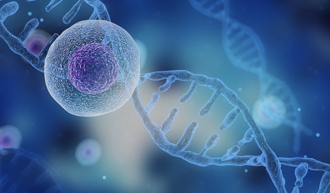 Nuvectis Pharma’s Interim Phase 1b Data for NXP800 Shows Promise in Treating Platinum-Resistant Ovarian Cancer