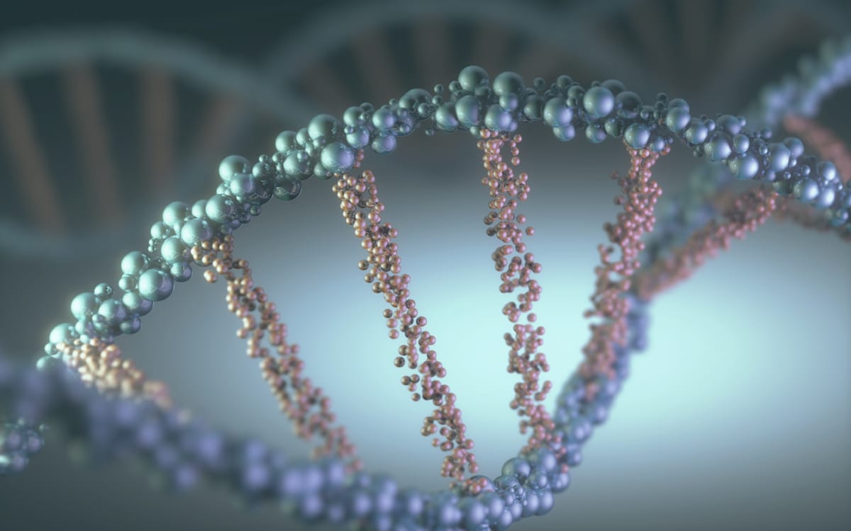 Under the Radar Nano Cap Silexion is One to Watch as KRAS-Targeting Heats Up