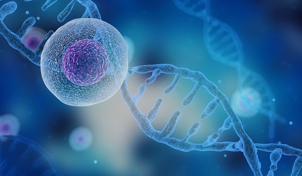 Nuvectis Pharma’s Interim Phase 1b Data for NXP800 Shows Promise in Treating Platinum-Resistant Ovarian Cancer