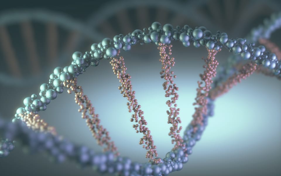 Under the Radar Nano Cap Silexion is One to Watch as KRAS-Targeting Heats Up
