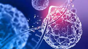 Nuvectis Pharma’s NXP900 Clears Key Hurdle Boosting Potential as Key Combination Therapy in Multi Billion Dollar NSCLC Market